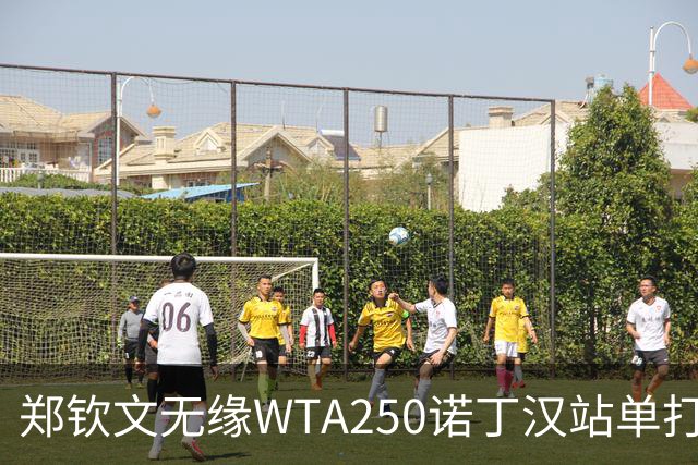 郑钦文无缘WTA250诺丁汉站单打八强