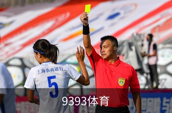 关于9393体育
